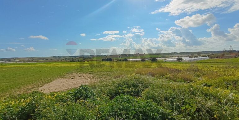 20250121190807-921244-3