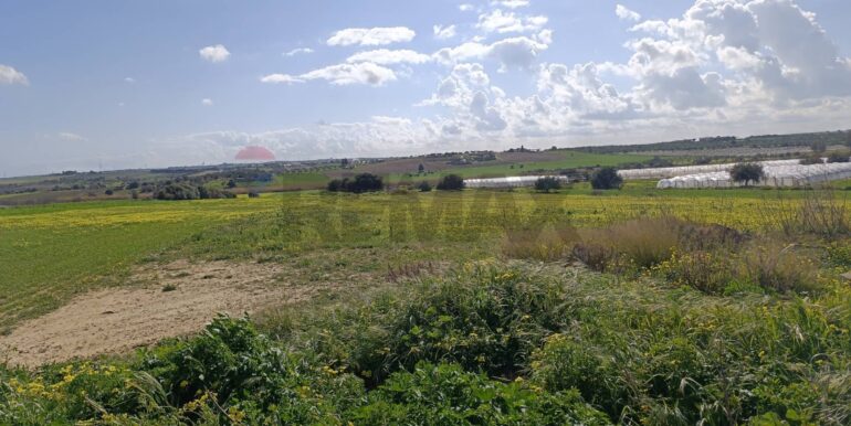 20250121190809-921244-4