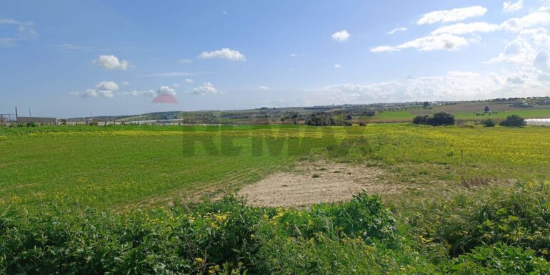 20250121190811-921244-5