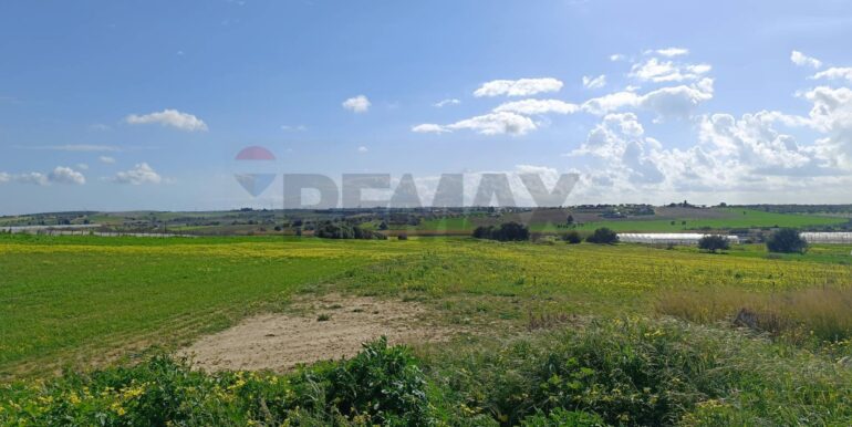 20250121190813-921244-6