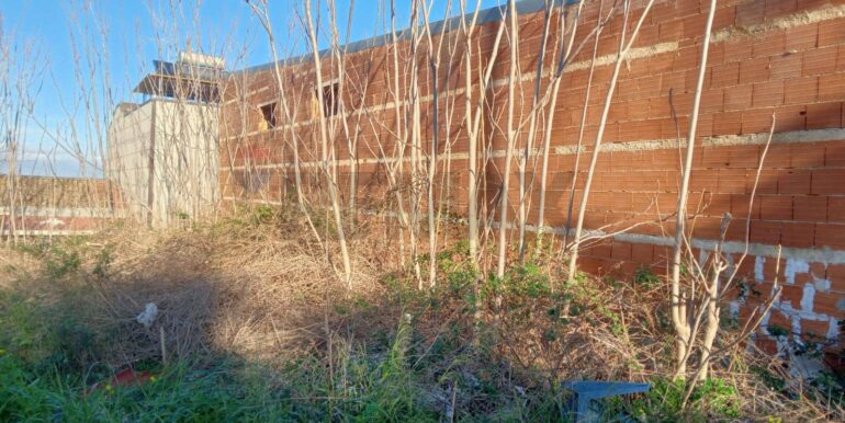 20250122181111-921518-1