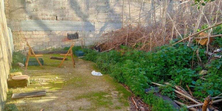 20250122181116-921518-4