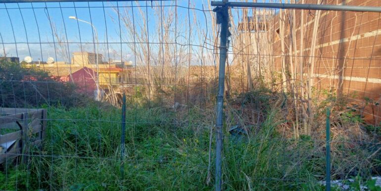 20250122181120-921518-6