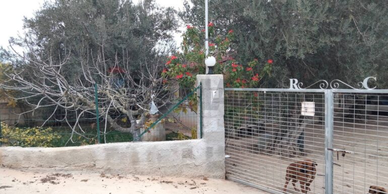 20250123161556-921820-0