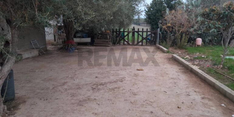 20250123161557-921820-4