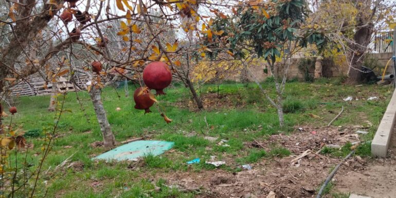 20250123161558-921820-6