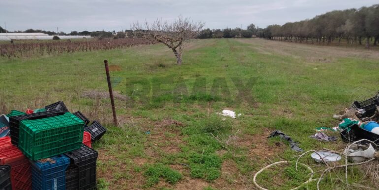 20250123161558-921820-7