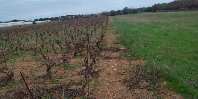 20250123161558-921820-8