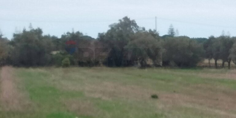 20250123161559-921820-10