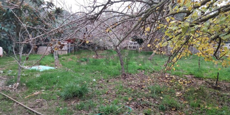 20250123161559-921820-11