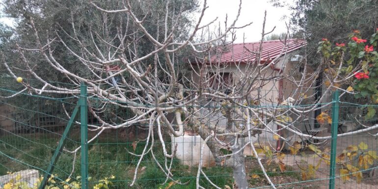 20250123161600-921820-13