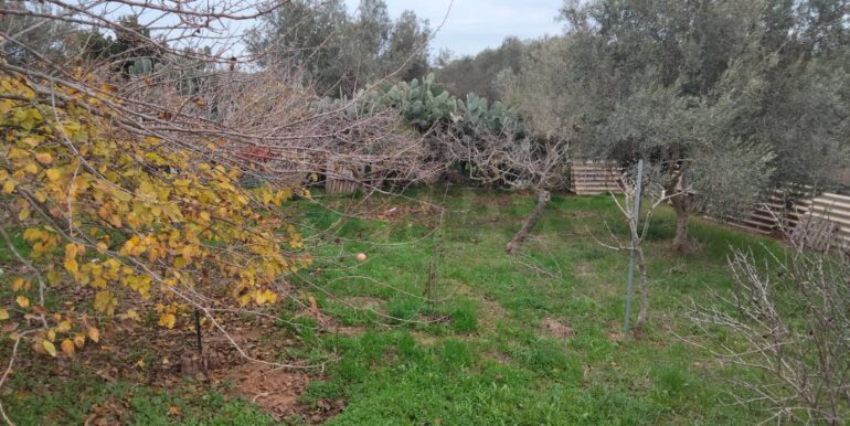 20250123161600-921820-14