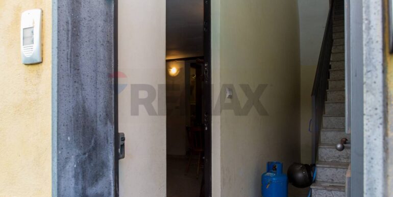 20250129103714-923043-3