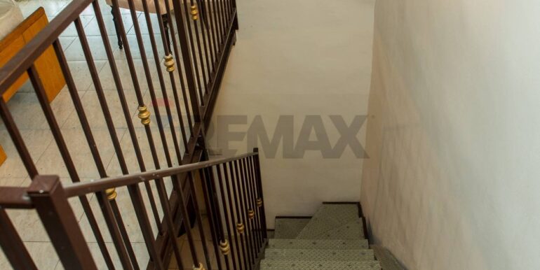 20250129103726-923043-9