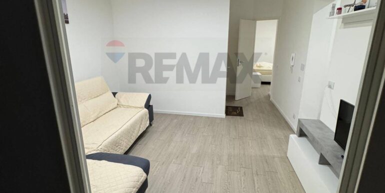 20250129113423-923344-6