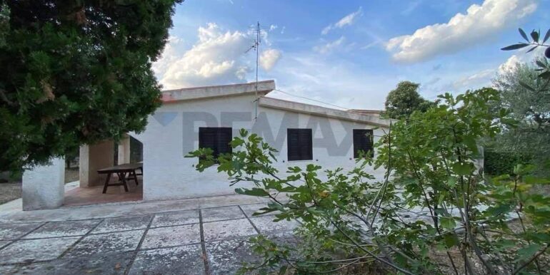 20250130161423-923856-19