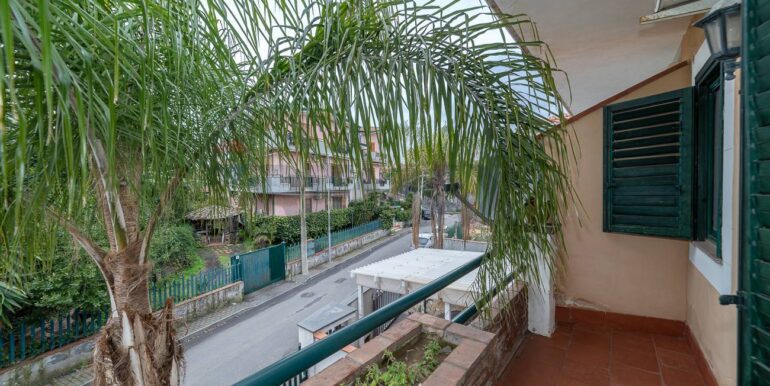 20250131190539-924175-20