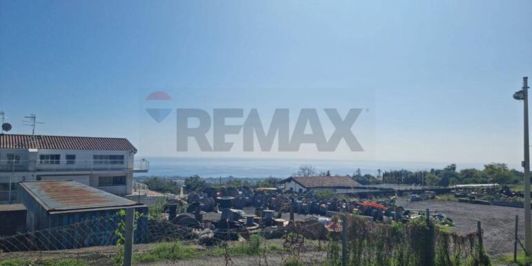 2025020392650-924550-0