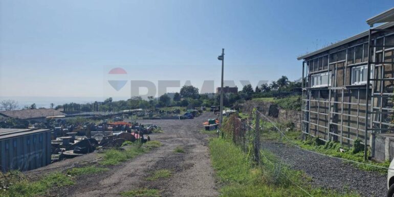 2025020392650-924550-2