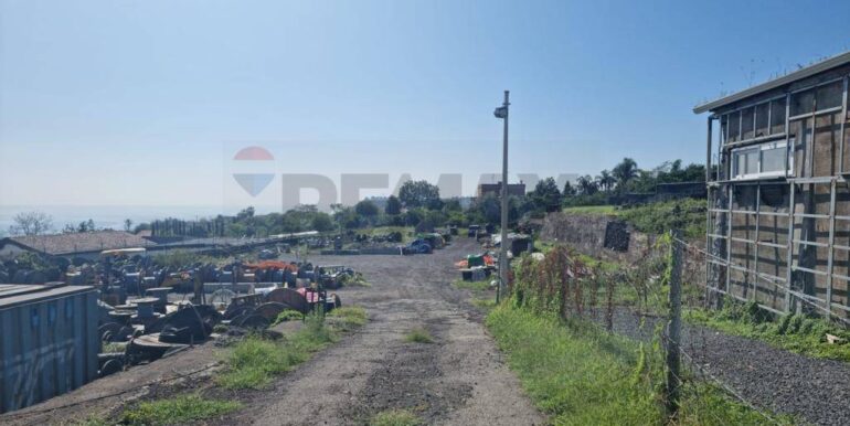 2025020392650-924550-3