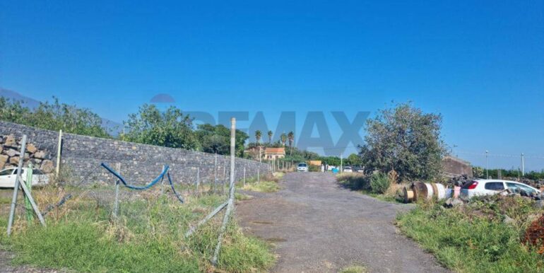 2025020392650-924550-4