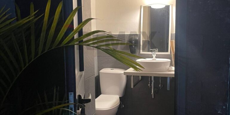 20250205175536-927199-12