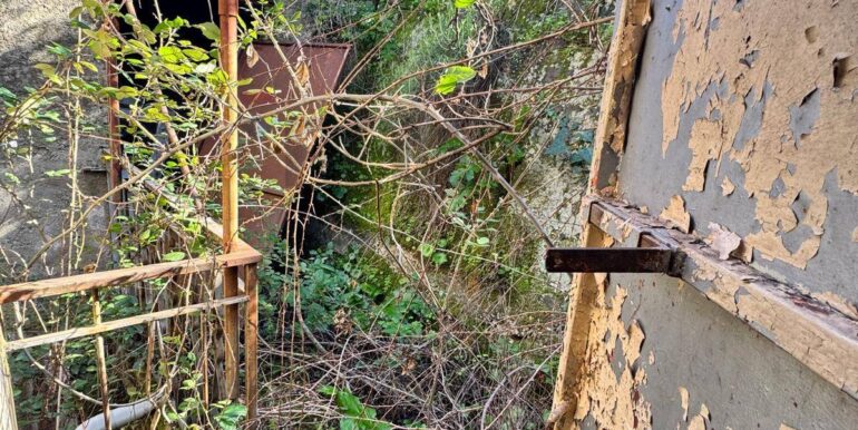 20250210124910-924103-16