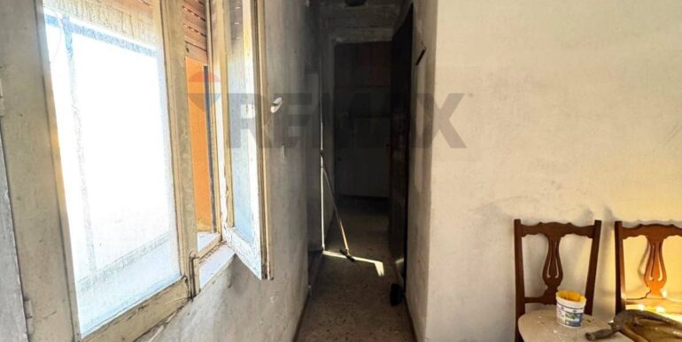 20250210124912-924103-17