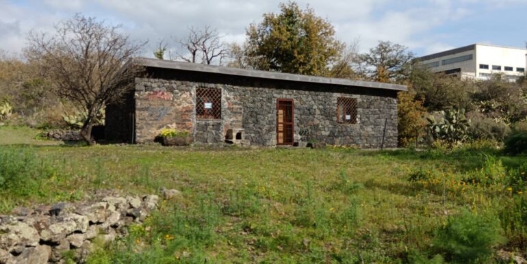 20250211123850-928083-1