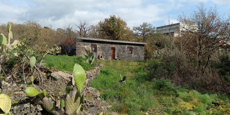 20250211123855-928083-2