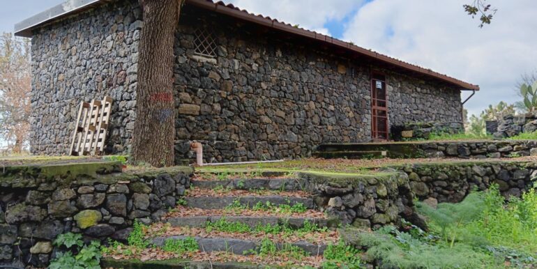 20250211123900-928083-3