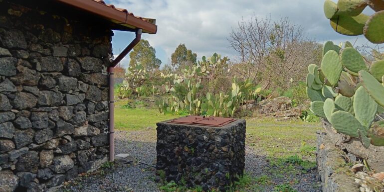 20250211123904-928083-4