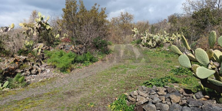 20250211123922-928083-10