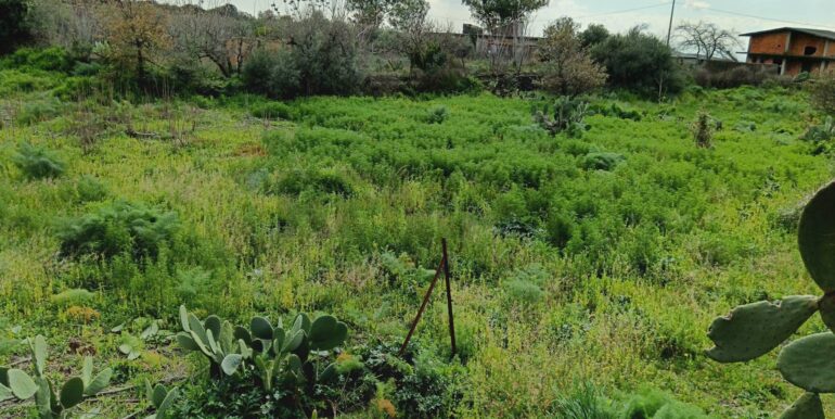 20250211123927-928083-11