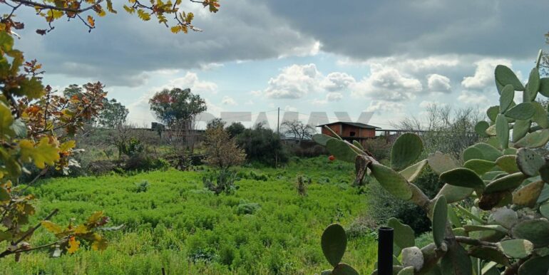 20250211123937-928083-13