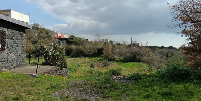 20250211123941-928083-14