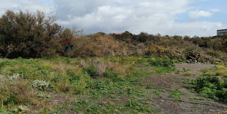 20250211123946-928083-15