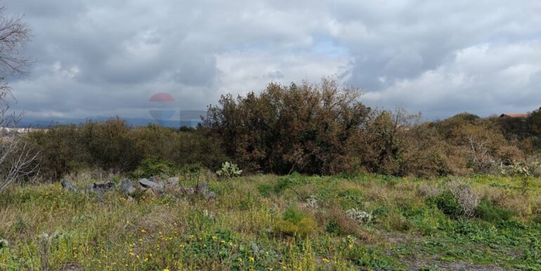 20250211123951-928083-16