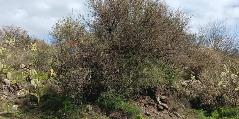 20250211123956-928083-17