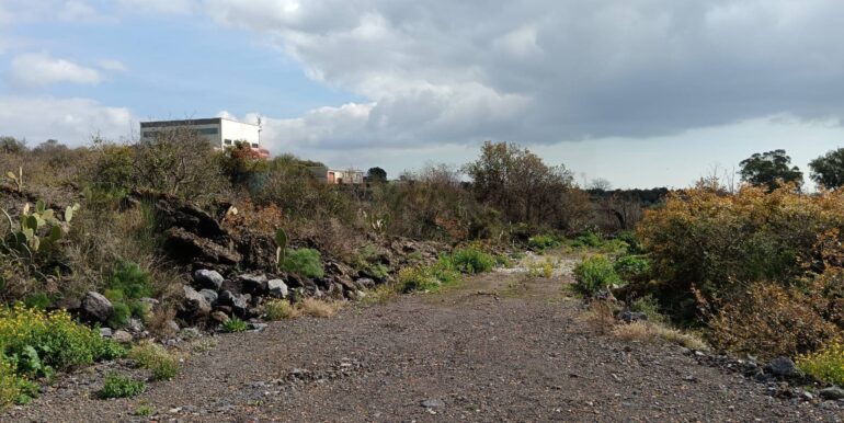 20250211124001-928083-18