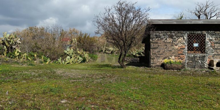 20250211124006-928083-19