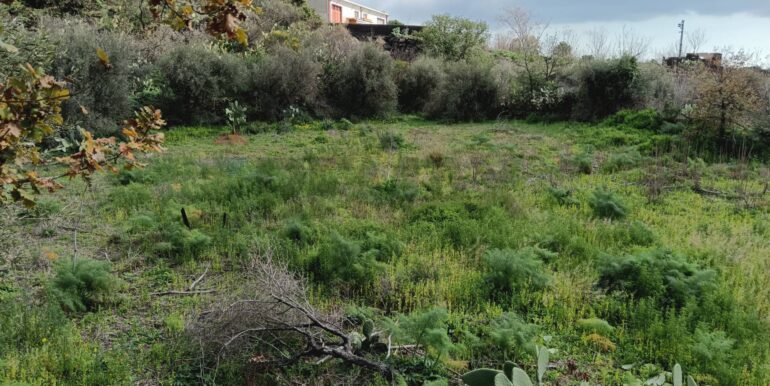 20250211124011-928083-20