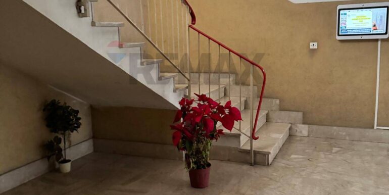 20250213123820-929255-6