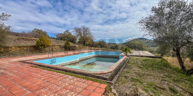 20250213182027-919722-12