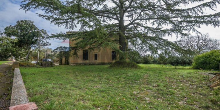 20250213182059-919722-20