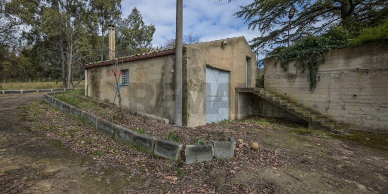 20250213182103-919722-21