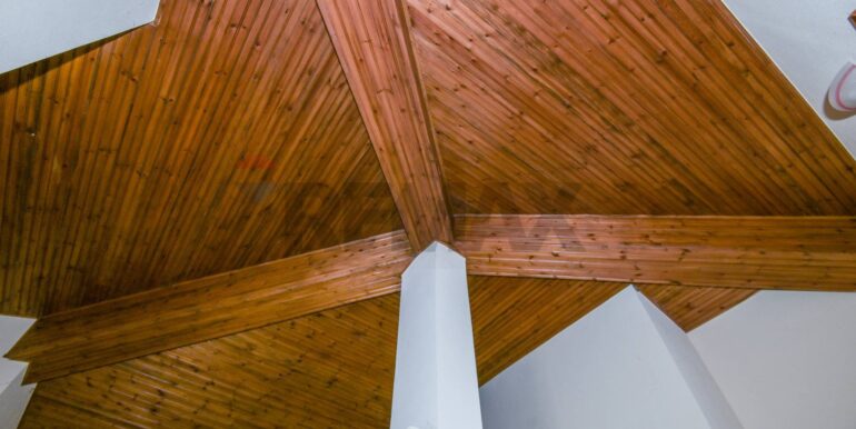 20250213182246-919722-53