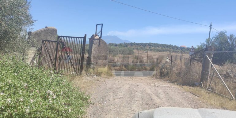 20250217141040-929964-0