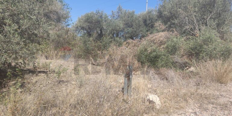 20250217141042-929964-5