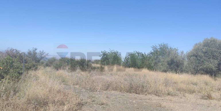 20250217141042-929964-6